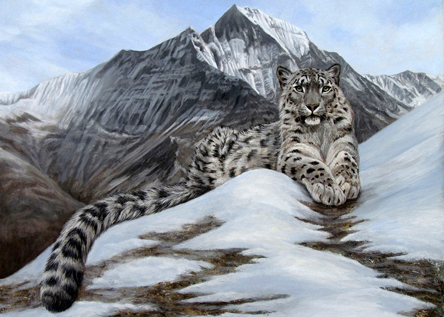 Roof of the World - Snow Leopard