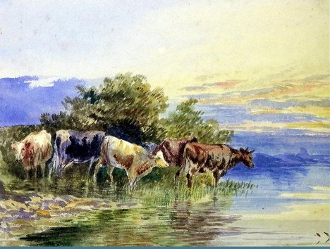 Cows by the River, Llandudno, Wales