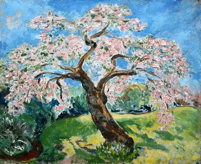Cherry Blossom in a Rural Landscape 