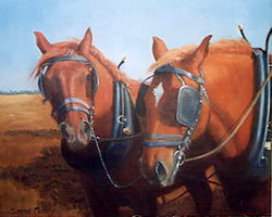 Beever-Suffolk Punches