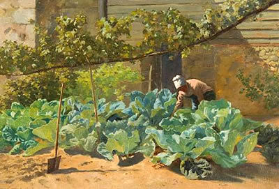 Cabbages, Vouvray