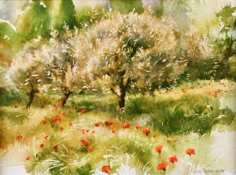 Poppies and Olive Trees