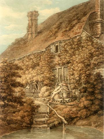 A Vine-clad Cottage