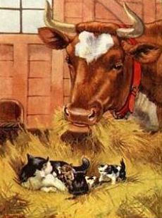 Cow, Cat & Kittens