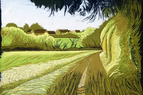 Barley Fields, Walsham le Willows