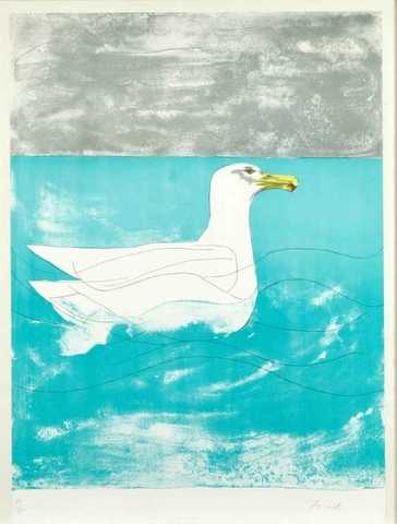 Herring Gull from The Seabird Series