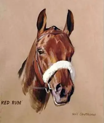 Red Rum, a head study