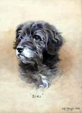 Portrait of Siki
