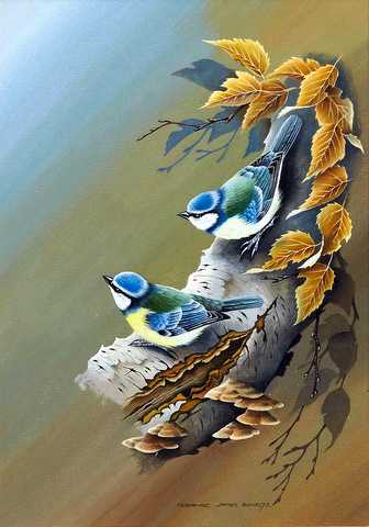 Pair of Blue Tits on a Branch