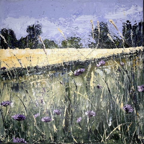 Cornflower Meadow